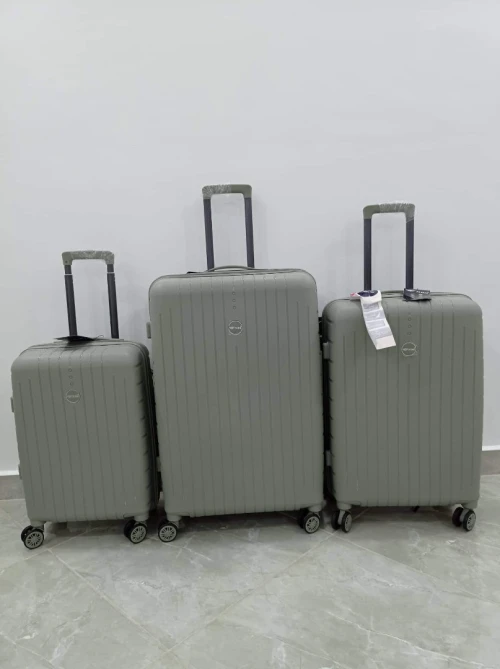 Valise de luxe 