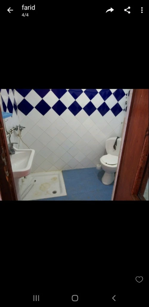 Location Local Alger Saoula
