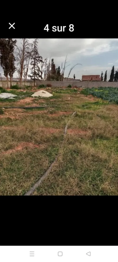 Vente Terrain Agricole Oran Boutlelis