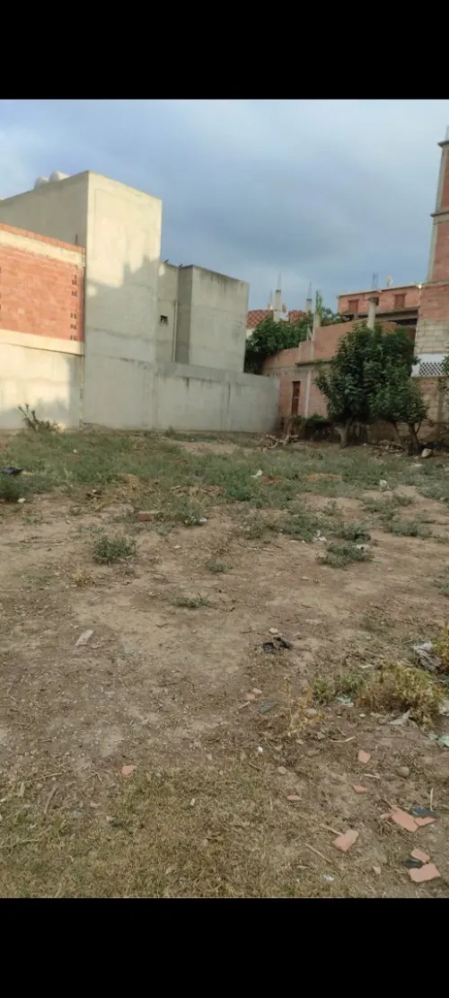 Vente Terrain Blida Guerrouaou