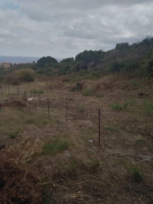 Vente Terrain Tizi Ouzou Tigzirt