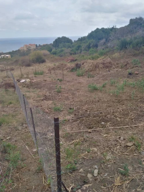 Vente Terrain Tizi Ouzou Tigzirt