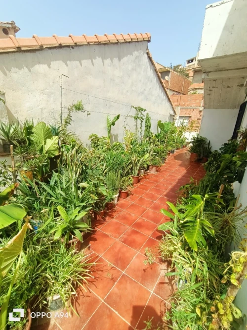 Location Villa Tipaza Tipaza