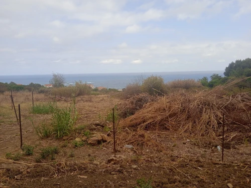 Vente Terrain Tizi Ouzou Tigzirt