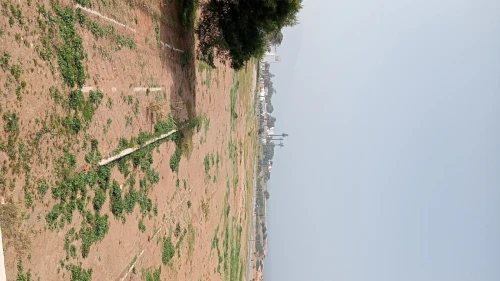 Location Bungalow Tipaza Tipaza