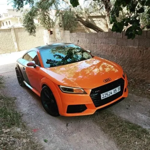 Audi TTS 2015 TTS