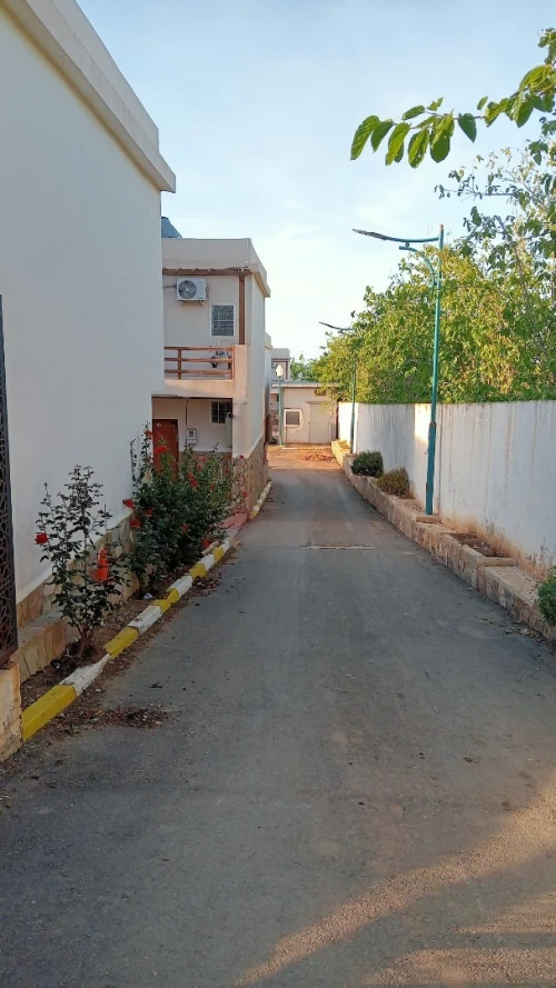 Location Bungalow Tipaza Tipaza