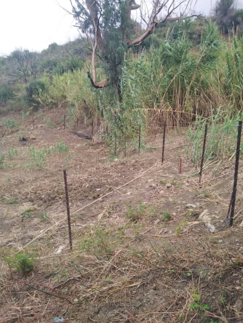 Vente Terrain Tizi Ouzou Tigzirt