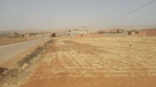 Vente Terrain Aïn Defla El amra