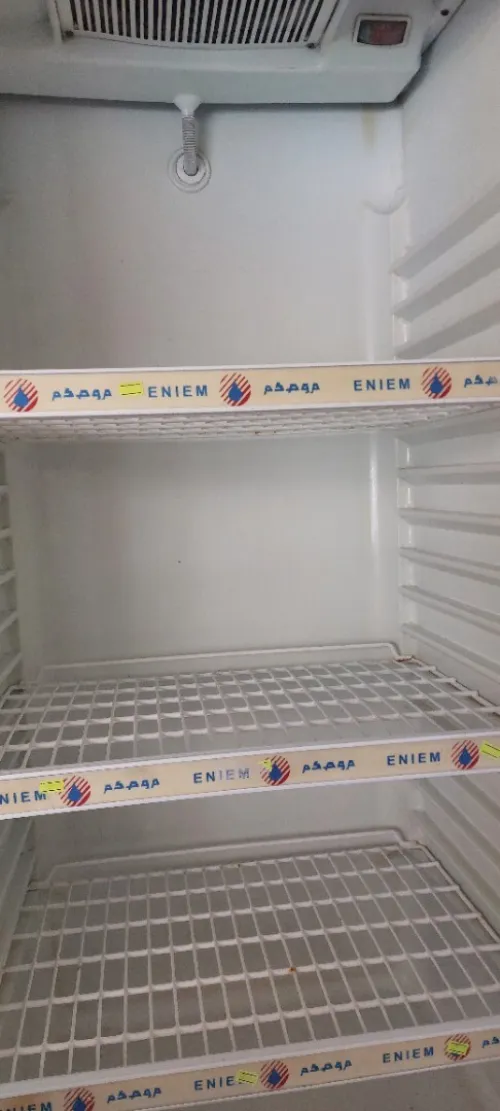 Frigo eniem