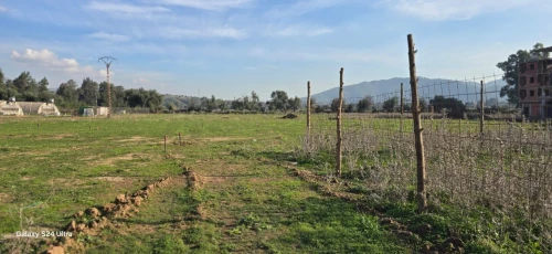 Vente Terrain Bouira Lakhdaria