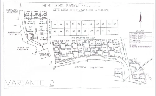 Vente Terrain Tlemcen Beni mester