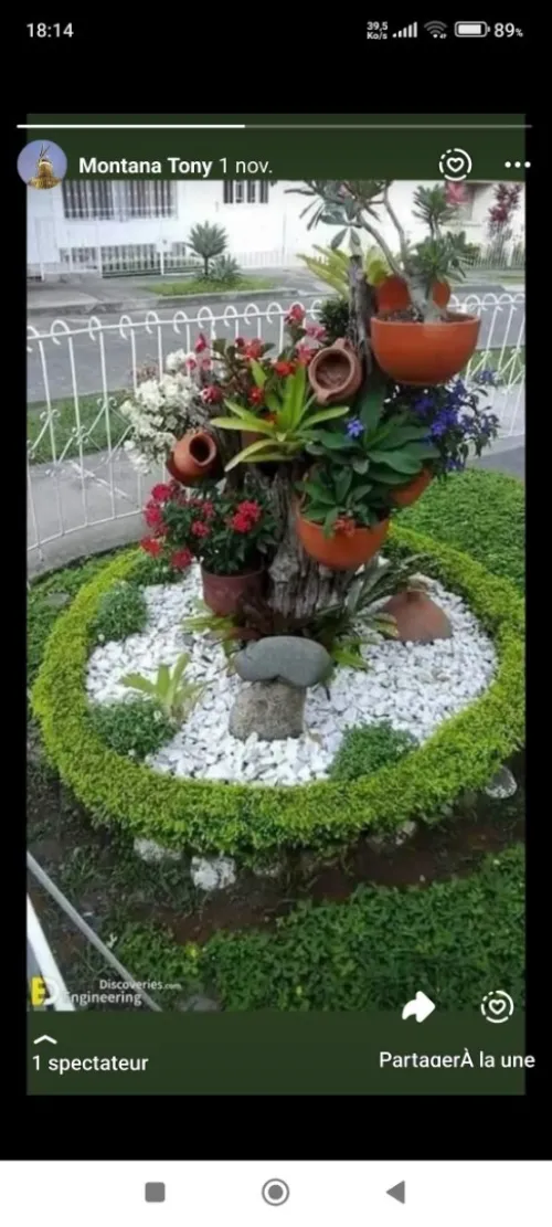 Fleuriste paysagiste