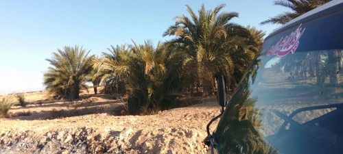 Vente Terrain Agricole Biskra Lioua