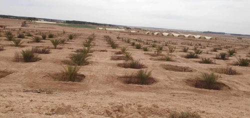 Vente Terrain Agricole Biskra Lioua