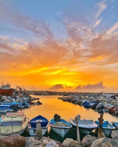 Location vacances Appartement Mostaganem Sidi lakhdaara
