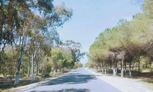 Location vacances Appartement Mostaganem Sidi lakhdaara