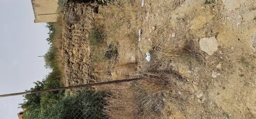 Vente Terrain Alger Saoula