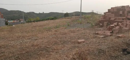 Vente Terrain Boumerdès Boudouaou