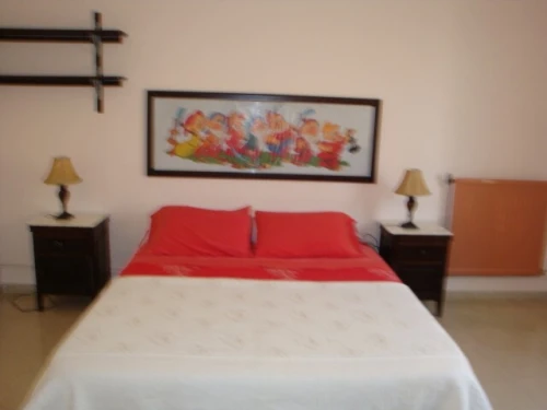 Location Niveau De Villa F3 Alger Kouba