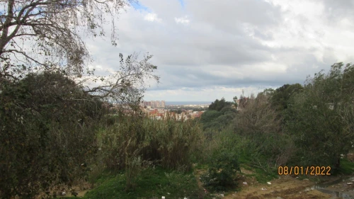 Location Appartement F4 Alger Cheraga