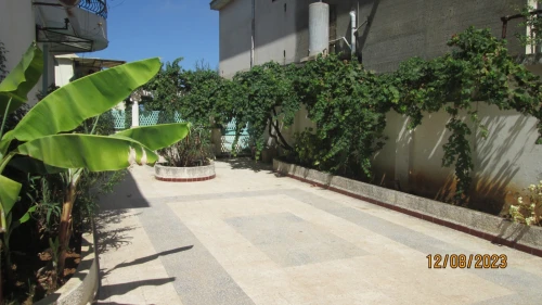 Location Appartement F4 Alger Kouba