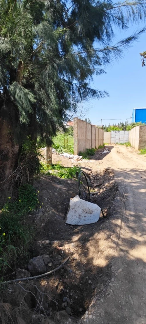 Vente Terrain Blida Chebli