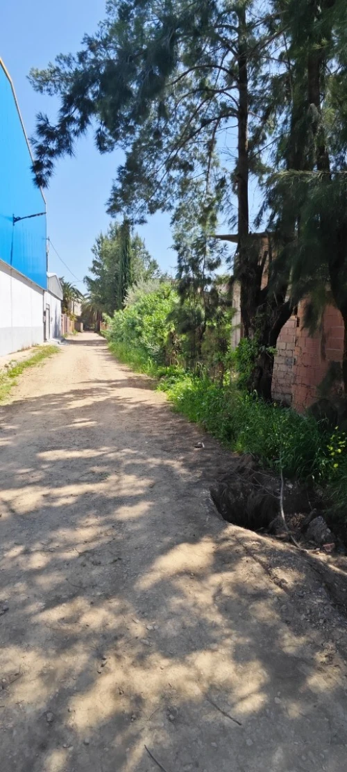 Vente Terrain Blida Chebli