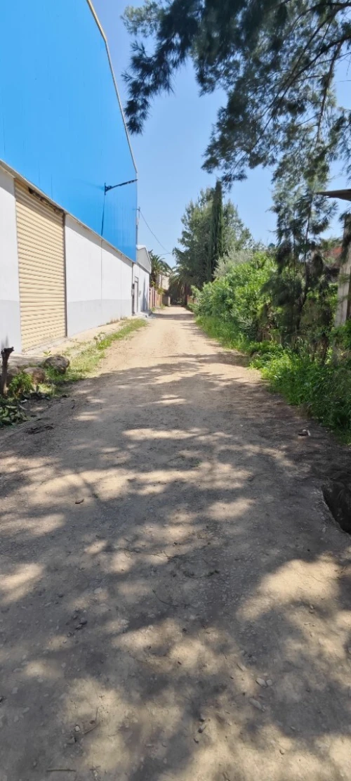 Vente Terrain Blida Chebli