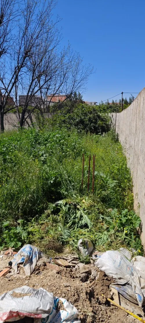 Vente Terrain Blida Chebli