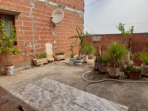 Vente Villa Guelma Guelma