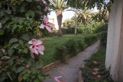 Vente Villa Alger Rais hamidou