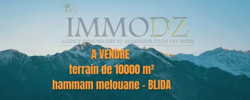 Vente Terrain Blida Hammam melouane