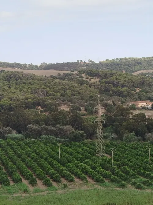 Location Appartement F5 Tipaza Douaouda