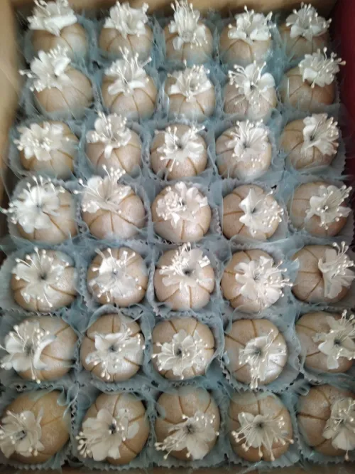 Gâteaux Algérois pour fêtes et mariages 