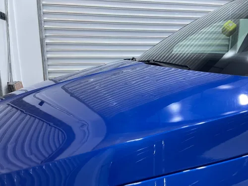 Skoda Fabia 2021 Monte Carlo