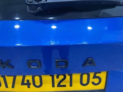 Skoda Fabia 2021 Monte Carlo