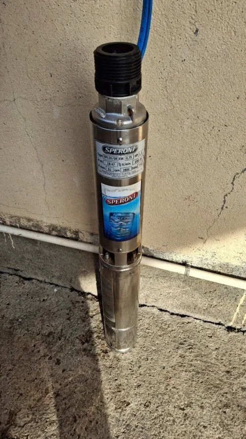 Pompe à eau émergé Speroni