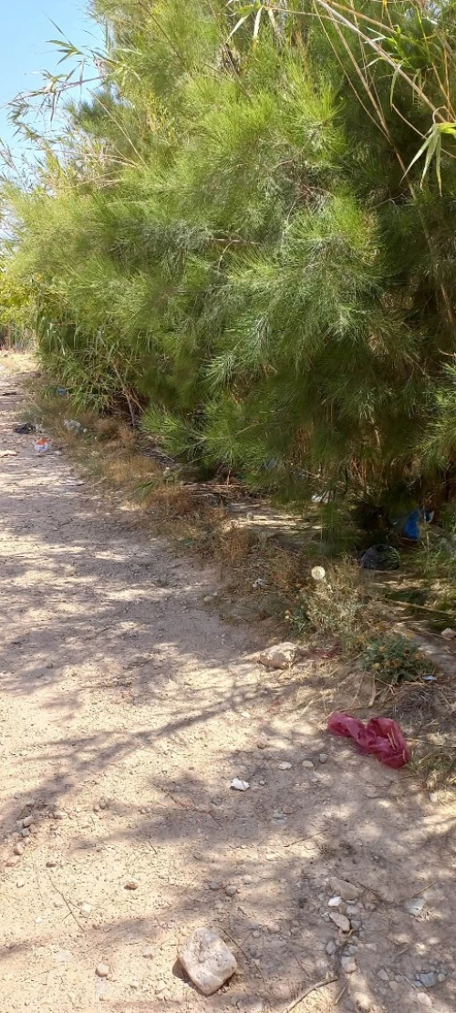 Vente Terrain Msila Bou saada