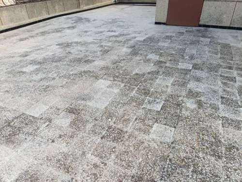 Location Appartement Niveau de villa F5 Alger Draria