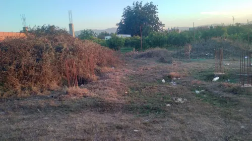 Vente Terrain Alger Sidi moussa