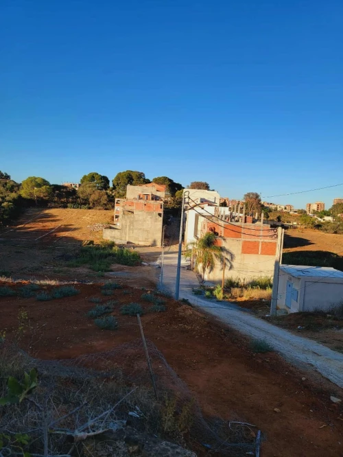 Vente Terrain Alger Saoula