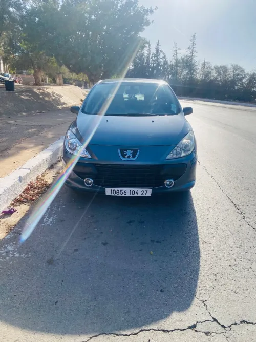 Peugeot 307 2004 307