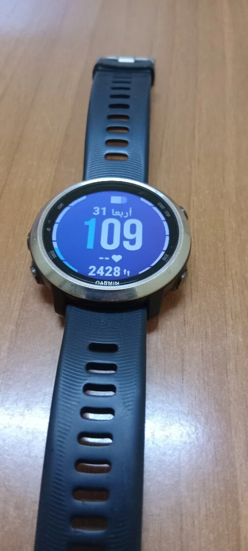 Garmin forerunner 645 music