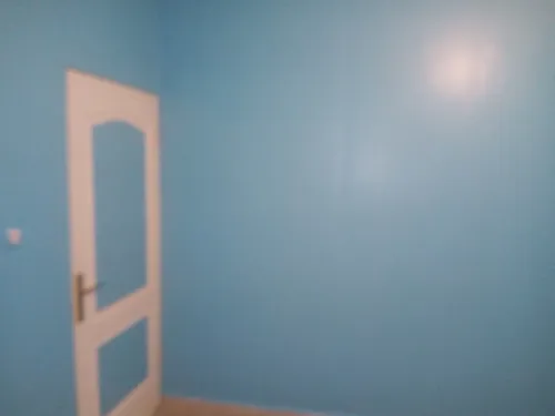 Pientre professional 