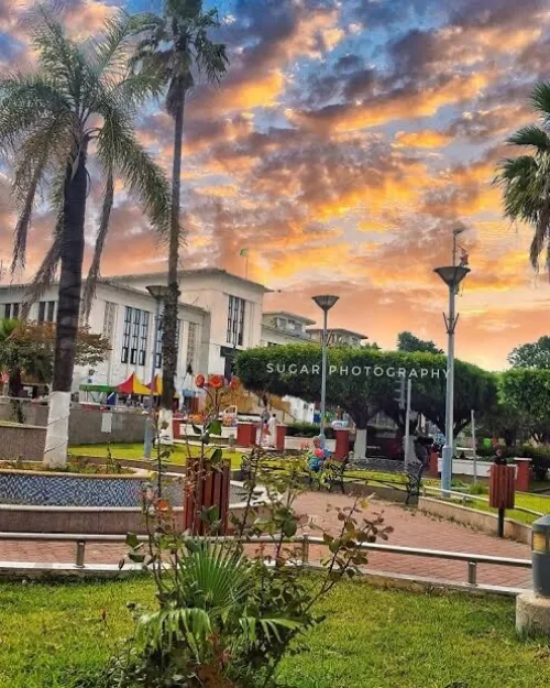 Location Local Alger Kouba