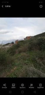 Vente Carcasse El taref Ben mehdi