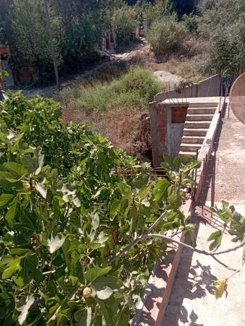 Vente Villa Blida El affroun