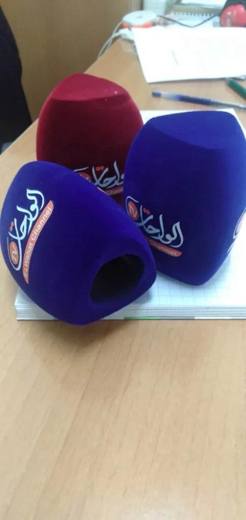 Bonnette de microphone ( Pare-brise microphone)