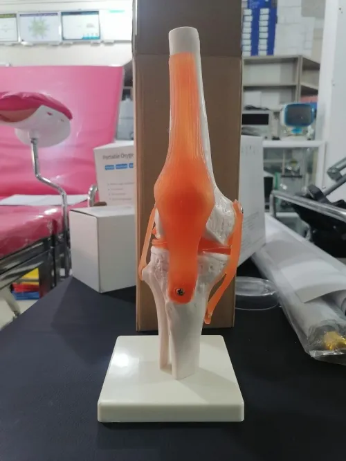 Mannequin de secourisme مجسم الإسعافات الأولية